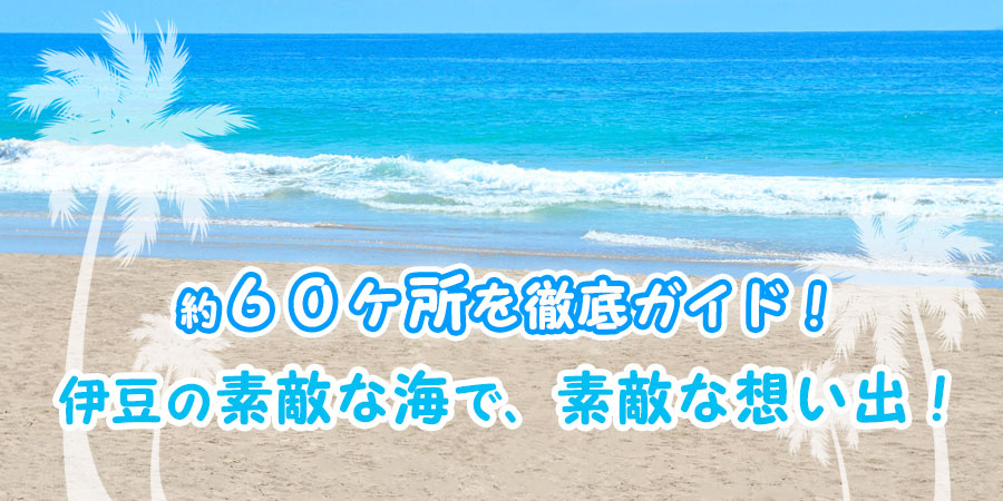 伊豆の素敵な海で、素敵な想い出!